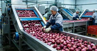 Trung Quốc kỳ vọng 'hái quả ngọt' với mặt hàng Việt Nam đang trồng rất nhiều: Nguồn cung khan hiếm, giá ngày càng đắt đỏ