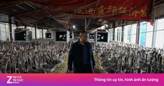 Trung Quốc sắp vượt Pháp về... gan ngỗng