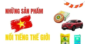 Từ Cao Sao Vàng, gạo ST25 đến VinFast: Những thương hiệu Việt Nam được thế giới biết tới ra sao?