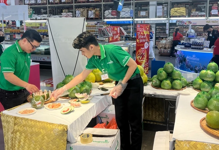 Từ vỏ trái cây bị lãng quên đến giấc mơ nông nghiệp xanh Từ vỏ trái cây bị lãng quên đến giấc mơ nông nghiệp xanh