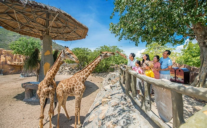 Tỷ phú Phạm Nhật Vượng tuyển người phát thức ăn cho hổ, báo, sư tử…thậm chí bơi cùng nàng tiên cá