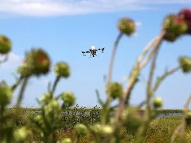 UAV xâm nhập vùng cấm bay Tân Sơn Nhất: Thiệt hại 38-55 tỷ đồng UAV xâm nhập vùng cấm bay Tân Sơn Nhất: Thiệt hại 38-55 tỷ đồng