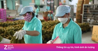 Vì sao sầu riêng bị ùn ứ, giá lao dốc thời gian qua?