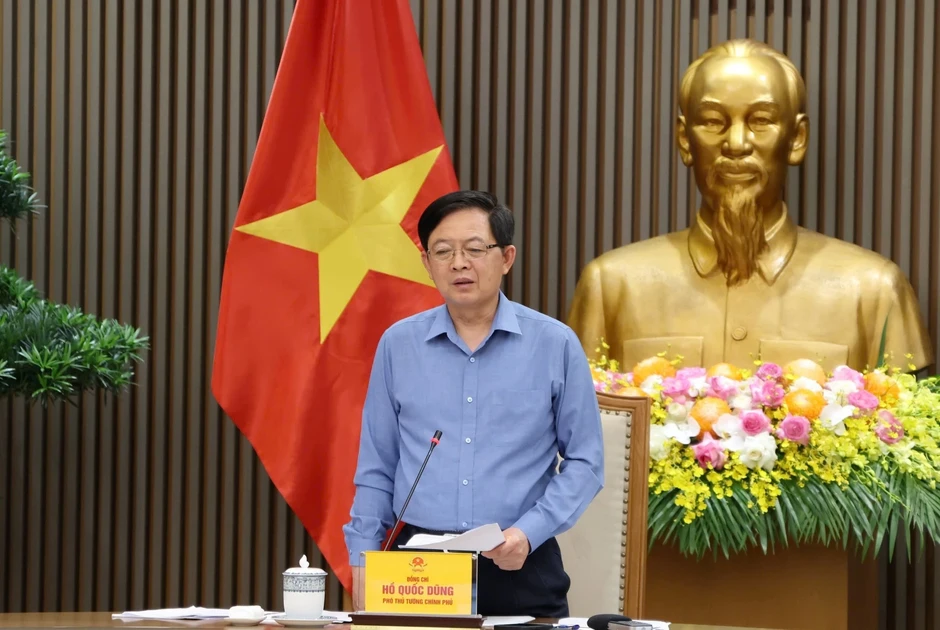Vì sao sầu riêng bị ùn ứ, giá lao dốc thời gian qua? Vì sao sầu riêng bị ùn ứ, giá lao dốc thời gian qua?