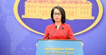 Việt Nam đề nghị Mỹ đánh giá khách quan về bảo hộ sở hữu trí tuệ