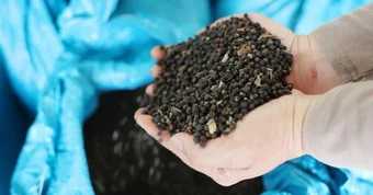 Việt Nam đón tin cực vui từ Thái Lan