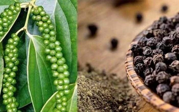 Việt Nam đón tin cực vui từ Thái Lan Việt Nam đón tin cực vui từ Thái Lan