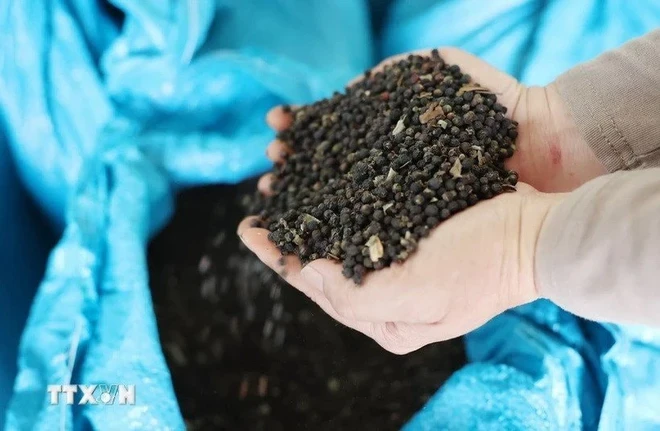 Việt Nam đón tin cực vui từ Thái Lan Việt Nam đón tin cực vui từ Thái Lan