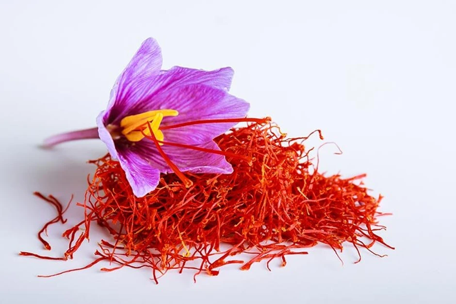 Việt Nam từng trồng thành công 'vàng đỏ' đắt nhất thế giới: là 'kho' chất chống oxy hóa, giá lên tới 500 triệu đồng/kg Việt Nam từng trồng thành công 'vàng đỏ' đắt nhất thế giới: là 'kho' chất chống oxy hóa, giá lên tới 500 triệu đồng/kg