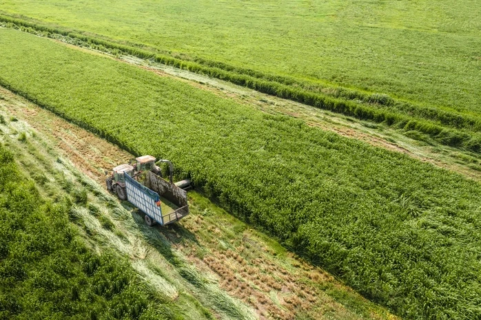 Vinamilk khẳng định vị thế thương hiệu sữa Việt Vinamilk khẳng định vị thế thương hiệu sữa Việt