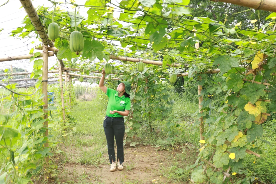 VinCons của ông Phạm Nhật Vượng đang xây 1 công trình đặc biệt tại xã đảo duy nhất của Hà Nội, có ~6.600 người sinh sống: Cất nóc hạng mục quan trọng chỉ sau 5 tháng khởi công, sớm hơn dự kiến 30 ngày VinCons của ông Phạm Nhật Vượng đang xây 1 công trình đặc biệt tại xã đảo duy nhất của Hà Nội, có ~6.600 người sinh sống: Cất nóc hạng mục quan trọng chỉ sau 5 tháng khởi công, sớm hơn dự kiến 30 ngày
