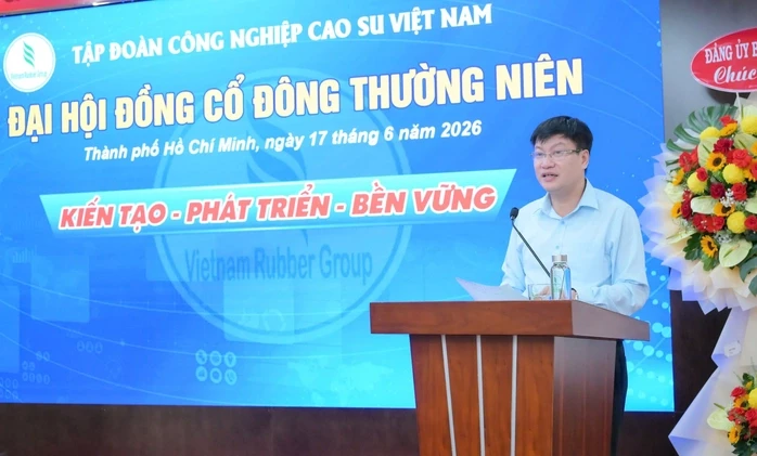 VRG dự báo giá cao su có thể đạt 3 . 300 USD / tấn vào năm 2030 VRG dự báo giá cao su có thể đạt 3 . 300 USD / tấn vào năm 2030