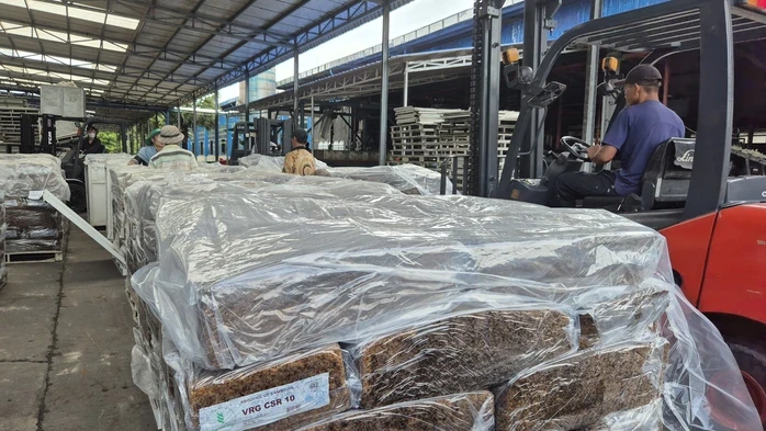 VRG dự báo giá cao su có thể đạt 3 . 300 USD / tấn vào năm 2030 VRG dự báo giá cao su có thể đạt 3 . 300 USD / tấn vào năm 2030