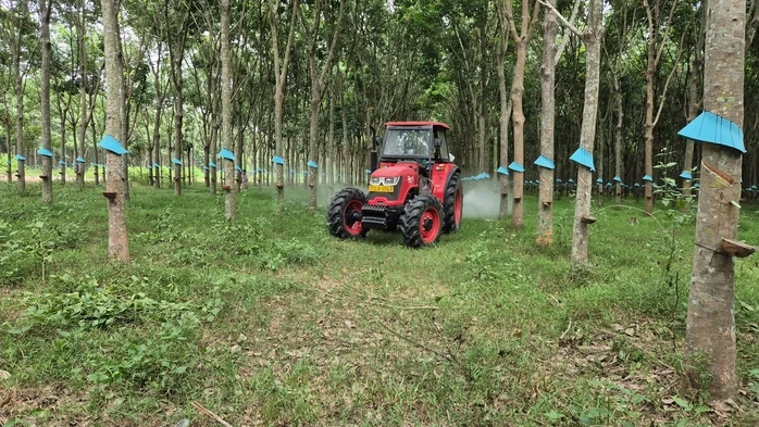VRG dự báo giá cao su có thể đạt 3 . 300 USD / tấn vào năm 2030 VRG dự báo giá cao su có thể đạt 3 . 300 USD / tấn vào năm 2030