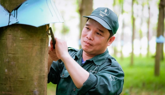 VRG góp sức cho mục tiêu tăng trưởng cao của nền kinh tế VRG góp sức cho mục tiêu tăng trưởng cao của nền kinh tế