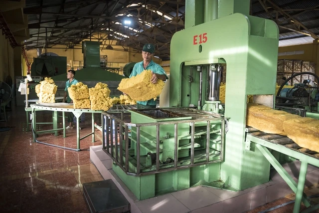 VRG quyết liệt triển khai Nghị quyết 79 về phát triển kinh tế nhà nước VRG quyết liệt triển khai Nghị quyết 79 về phát triển kinh tế nhà nước