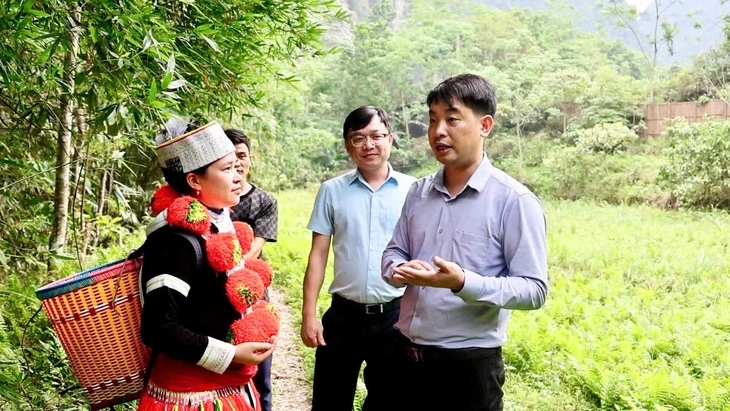 Xã miền núi thu 46 tỉ từ YouTube, TikTok, Facebook Xã miền núi thu 46 tỉ từ YouTube, TikTok, Facebook