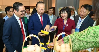 Xây dựng thương hiệu bò H’Mông thành đặc sản như Hanwoo của Hàn Quốc