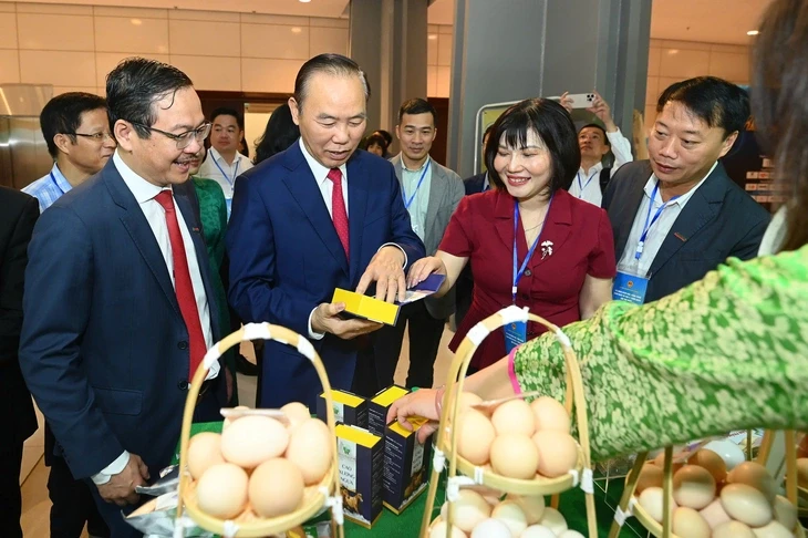 Xây dựng thương hiệu bò H’Mông thành đặc sản như Hanwoo của Hàn Quốc Xây dựng thương hiệu bò H’Mông thành đặc sản như Hanwoo của Hàn Quốc