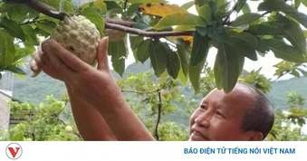 Xây dựng thương hiệu để sản phẩm Na La Hiên Thái Nguyên vươn xa
