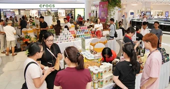 Xuất khẩu cà phê gấp đôi gạo, vì sao chính sách hỗ trợ lại chưa tương xứng?