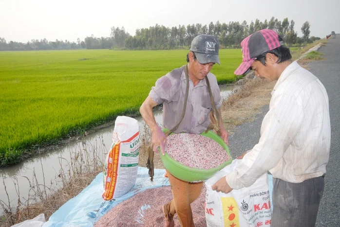 Xung đột Trung Đông khiến giá phân bón tăng mạnh, có tác động tới Việt Nam?