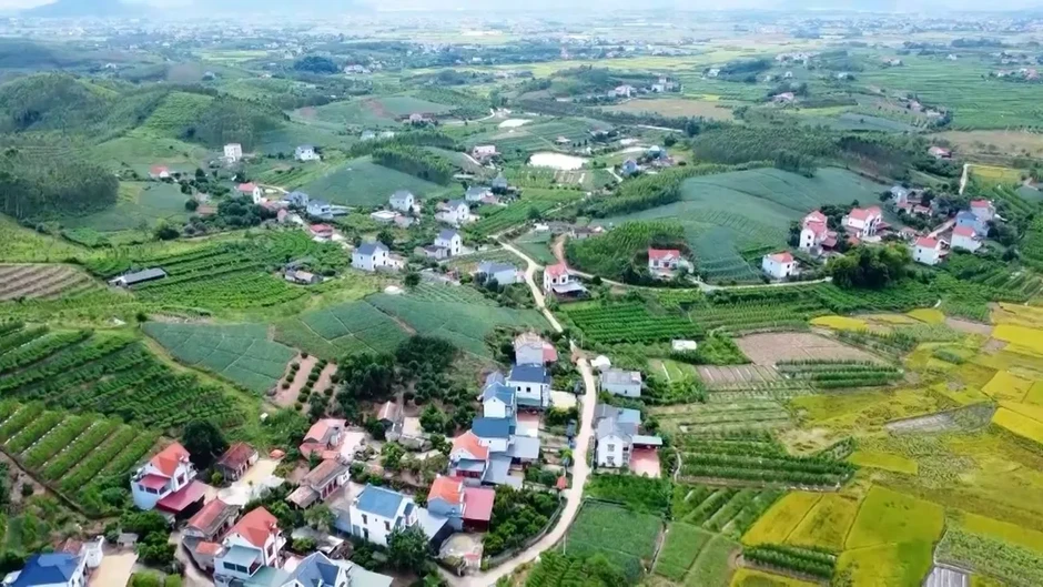 “Cú hích” đưa Bắc Ninh bứt phá mạnh về kinh tế - xã hội năm 2025 “Cú hích” đưa Bắc Ninh bứt phá mạnh về kinh tế - xã hội năm 2025