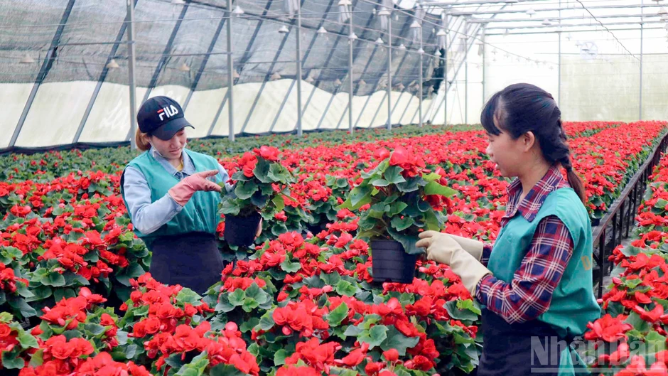 “Đột phá thể chế-hợp lực công tư” nâng cao giá trị nguồn lực tại Lâm Đồng “Đột phá thể chế-hợp lực công tư” nâng cao giá trị nguồn lực tại Lâm Đồng