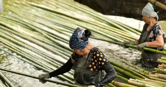 “Giữ lửa” làng nghề trước áp lực thị trường