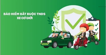 ‘Lưới an sinh’ xuyên biên giới và bài học từ láng giềng