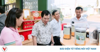 "Chợ số" mở đường cho nông sản đất đỏ bazan