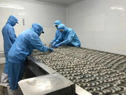 "Cởi trói" thực chất để kinh tế tư nhân gánh vác mục tiêu tăng trưởng 2 con số "Cởi trói" thực chất để kinh tế tư nhân gánh vác mục tiêu tăng trưởng 2 con số