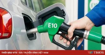 “Thời điểm vàng” cho năng lượng sinh học tại Việt Nam