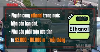 [Video] Đề xuất triển khai xăng E10 trên toàn quốc từ ngày 30/4