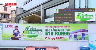 [Video] Giám sát, kiểm tra triển khai xăng sinh học E10