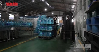 [Video] Hơn 325.000 doanh nghiệp bỏ địa chỉ đăng ký bị yêu cầu thu hồi giấy phép