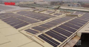 [Video] Miền Bắc đã có gần 300MW điện mặt trời mái nhà được lắp đặt
