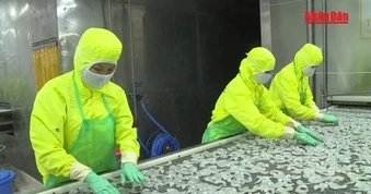 [Video] Mỗi tháng có gần 27.000 doanh nghiệp thành lập mới và quay trở lại hoạt động