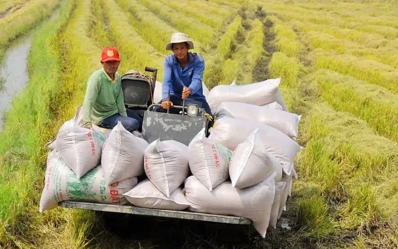 22 địa phương triển khai sản xuất giảm phát thải 22 địa phương triển khai sản xuất giảm phát thải
