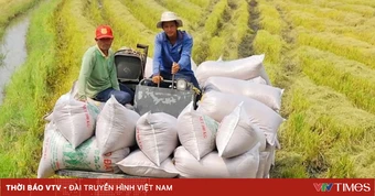 22 địa phương triển khai sản xuất giảm phát thải