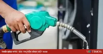 3 doanh nghiệp đầu mối kinh doanh xăng dầu bị phạt 450 triệu đồng