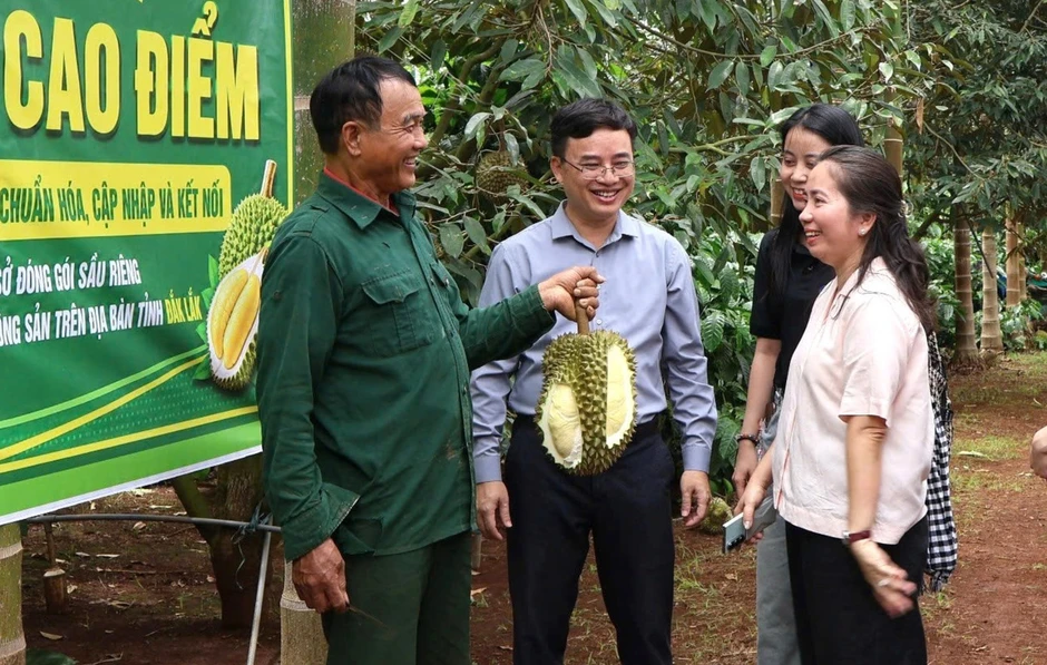 '30 ngày đêm' số hóa mã vùng trồng sầu riêng ở Đắk Lắk '30 ngày đêm' số hóa mã vùng trồng sầu riêng ở Đắk Lắk