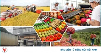 4 tháng năm 2026: Xuất khẩu nông, lâm, thủy sản tăng 5,4%