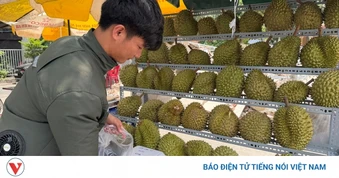 50 cơ sở đủ điều kiện kiểm nghiệm mít, sầu riêng xuất khẩu sang Trung Quốc
