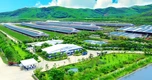 50 năm Vinamilk: Hành trình không ngừng nâng chuẩn