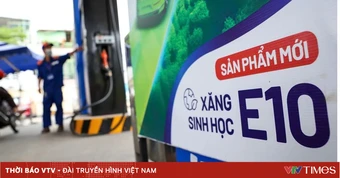 520 triệu lít xăng sinh học được tiêu thụ trong nửa tháng
