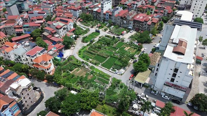 8.002 dự án tồn đọng: 61,7% đã được tháo gỡ khó khăn, vướng mắc 8.002 dự án tồn đọng: 61,7% đã được tháo gỡ khó khăn, vướng mắc
