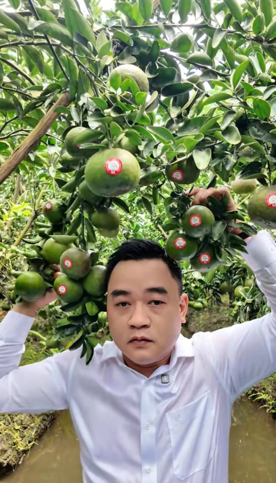 A&D Hoàng Long: Từ livestream giá nông sản đến đồng hành cùng nhà vườn xây dựng vùng trồng sạch A&D Hoàng Long: Từ livestream giá nông sản đến đồng hành cùng nhà vườn xây dựng vùng trồng sạch