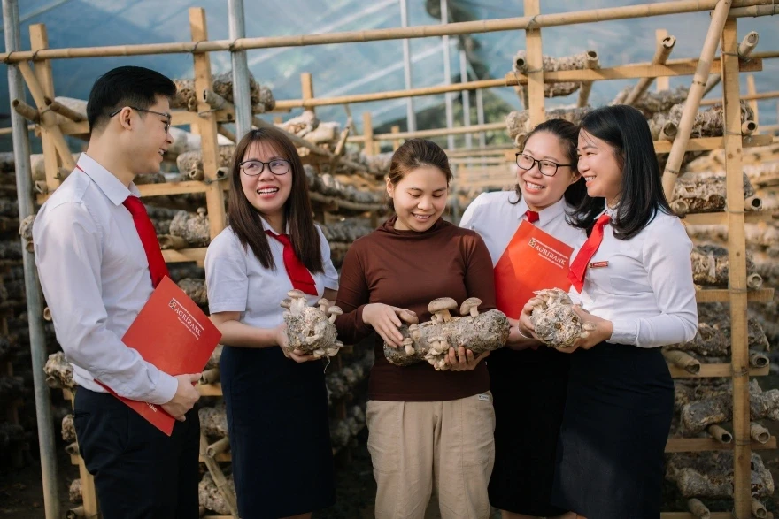 Agribank đồng hành hộ kinh doanh: Kê khai thuế dễ dàng - chuyển đổi doanh nghiệp vững vàng Agribank đồng hành hộ kinh doanh: Kê khai thuế dễ dàng - chuyển đổi doanh nghiệp vững vàng