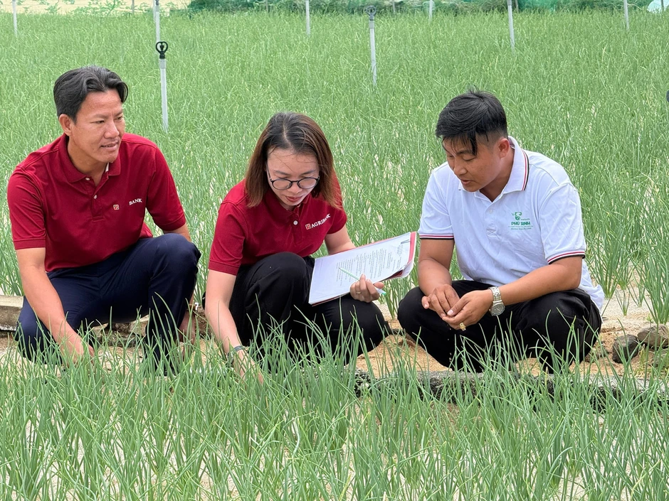 Agribank Lý Sơn: Ngân hàng trên biển của ngư dân, nông dân Agribank Lý Sơn: Ngân hàng trên biển của ngư dân, nông dân
